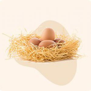 Trứng